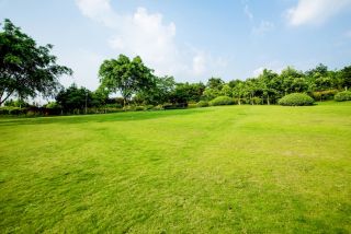 GODREJ SKY TERRACE Amenities - Open Greens